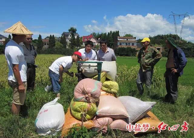 紅四方穩定肥料，為農民增收，讓經銷商獲利