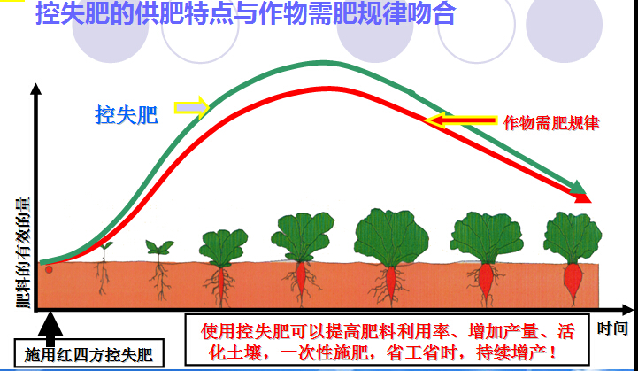 控失肥供肥特點