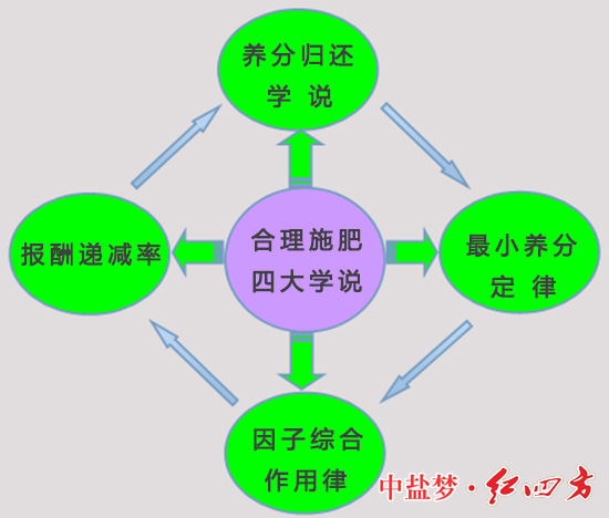 作物種植合理施肥四大學說