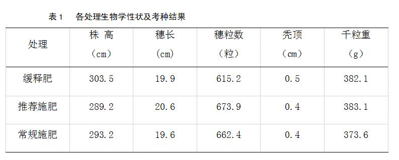 玉米緩釋肥在玉米上的作用