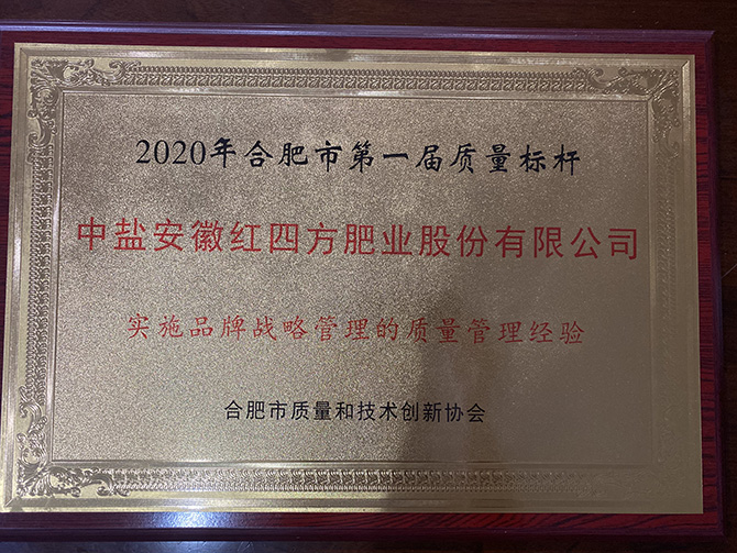 2020年合肥市第一屆質量標桿